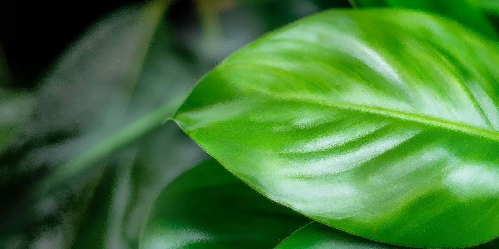 心と身体を解きほぐす、メンズリラクゼーションを。